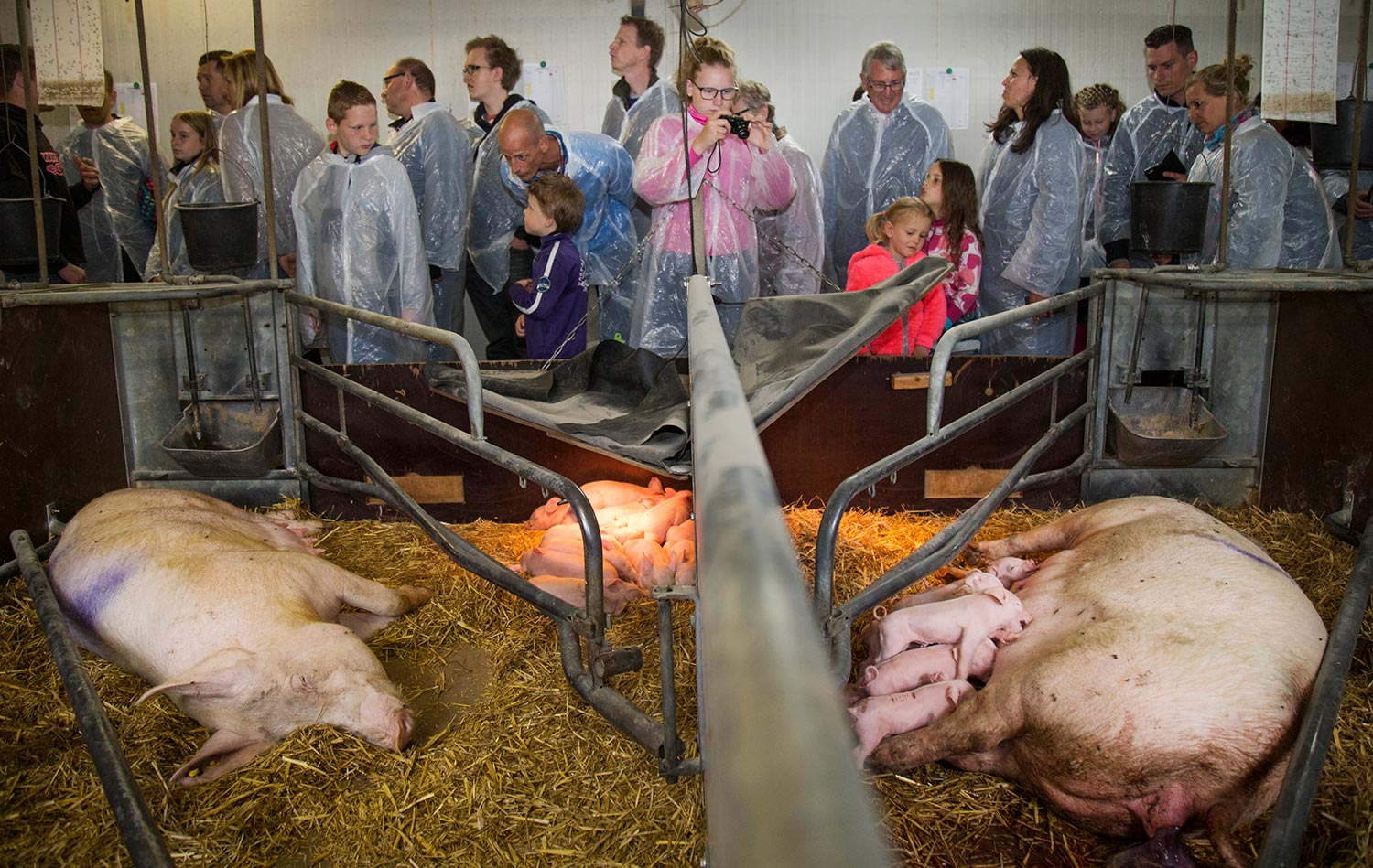 fotograaf boerderij