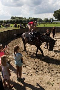 fotografie brabants dagblad ammerzoden