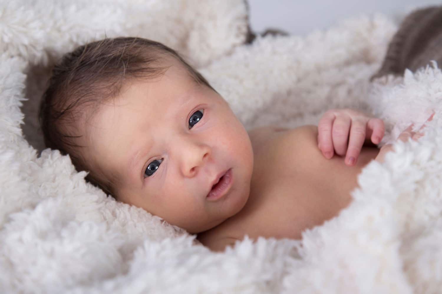 newbornfotograaf sharonwillems