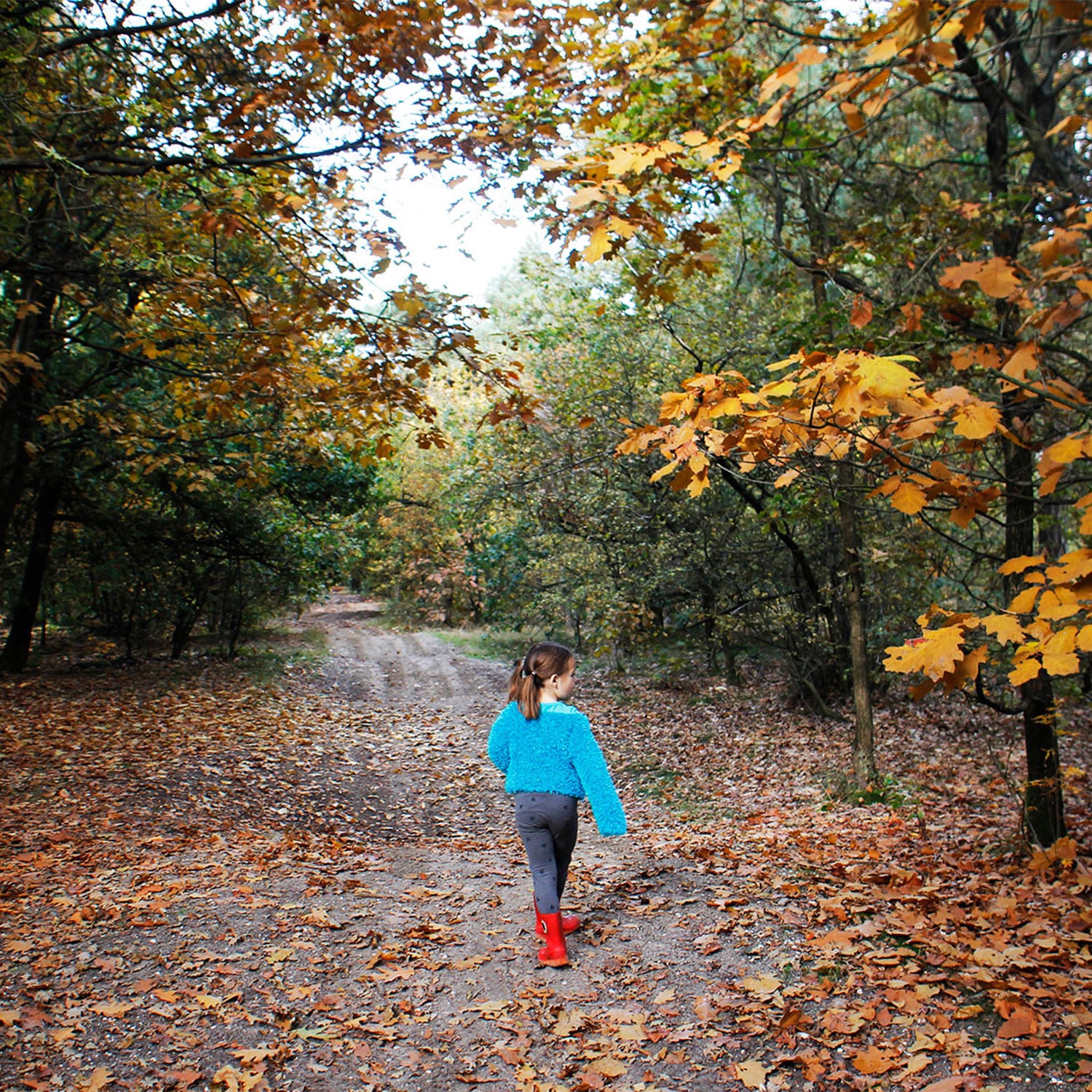 Kinderfotograaf schaijk