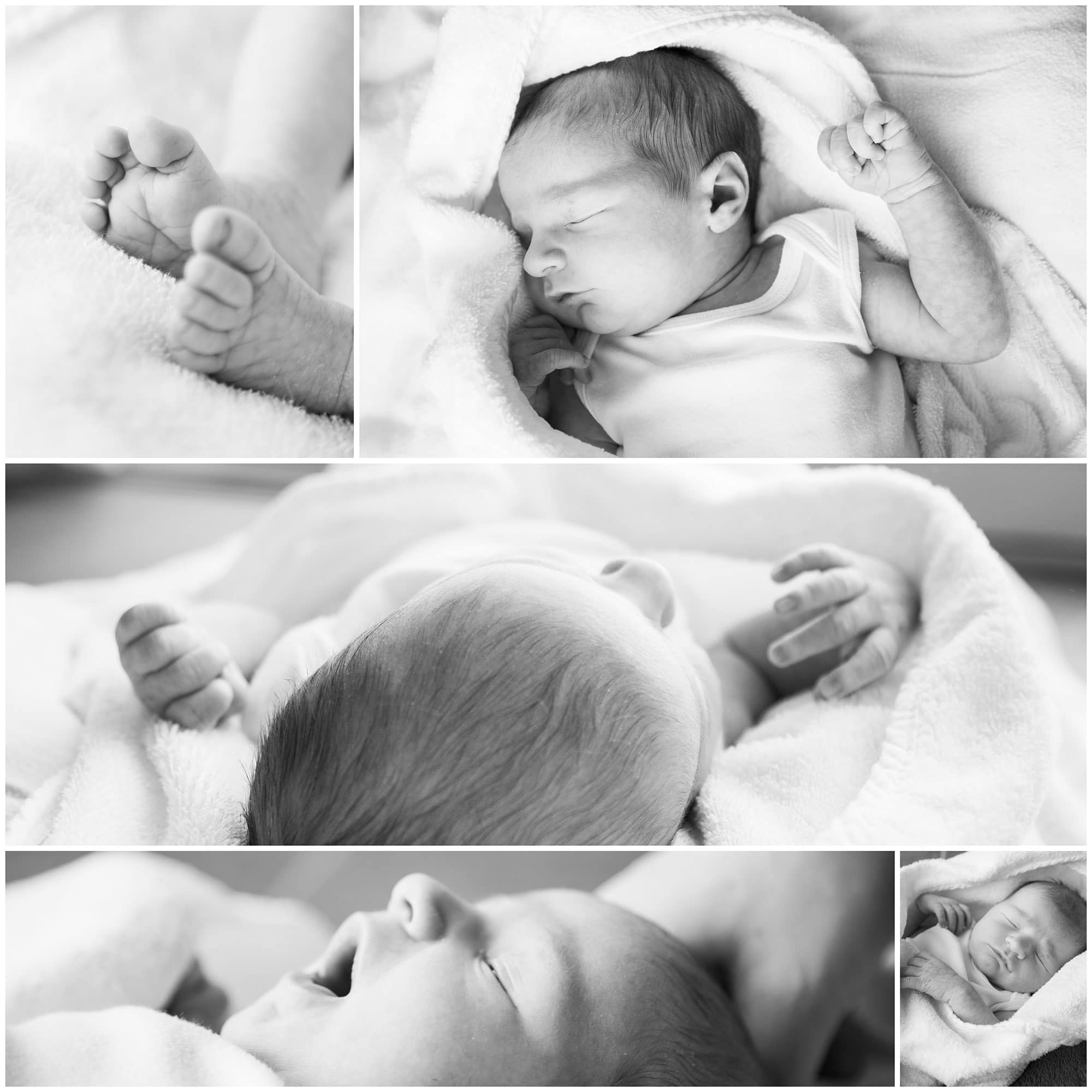 newborn fotoshoot ewijk