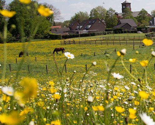 fotograaf maas en waal vierkant