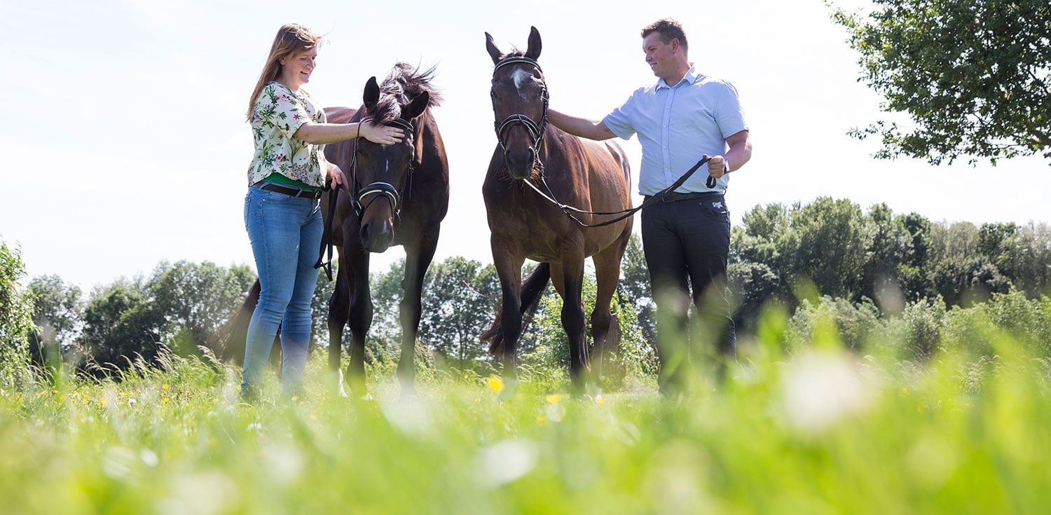 paardenfotograaf