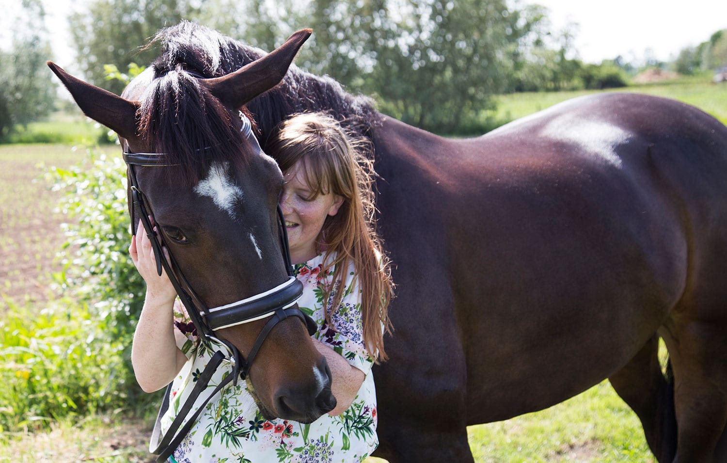 paardenfotografie