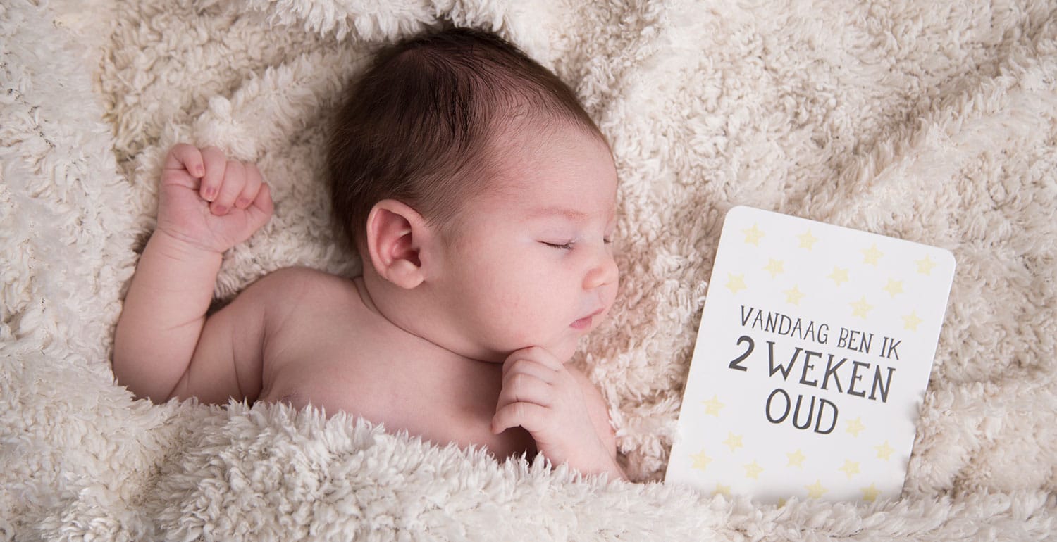 newborn shoot nijmegen