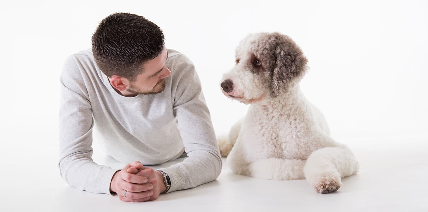 fotoshoot met honden in de fotostudio