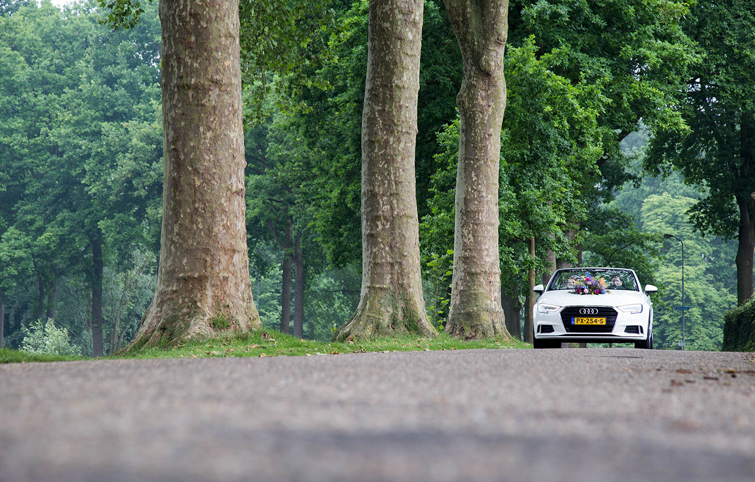 buiten trouwfoto's zaltbommel