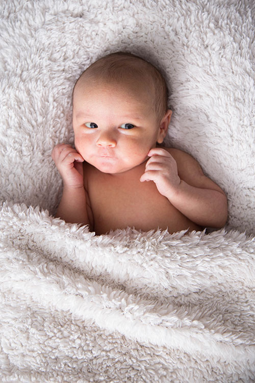 newborn fotograaf aan huis