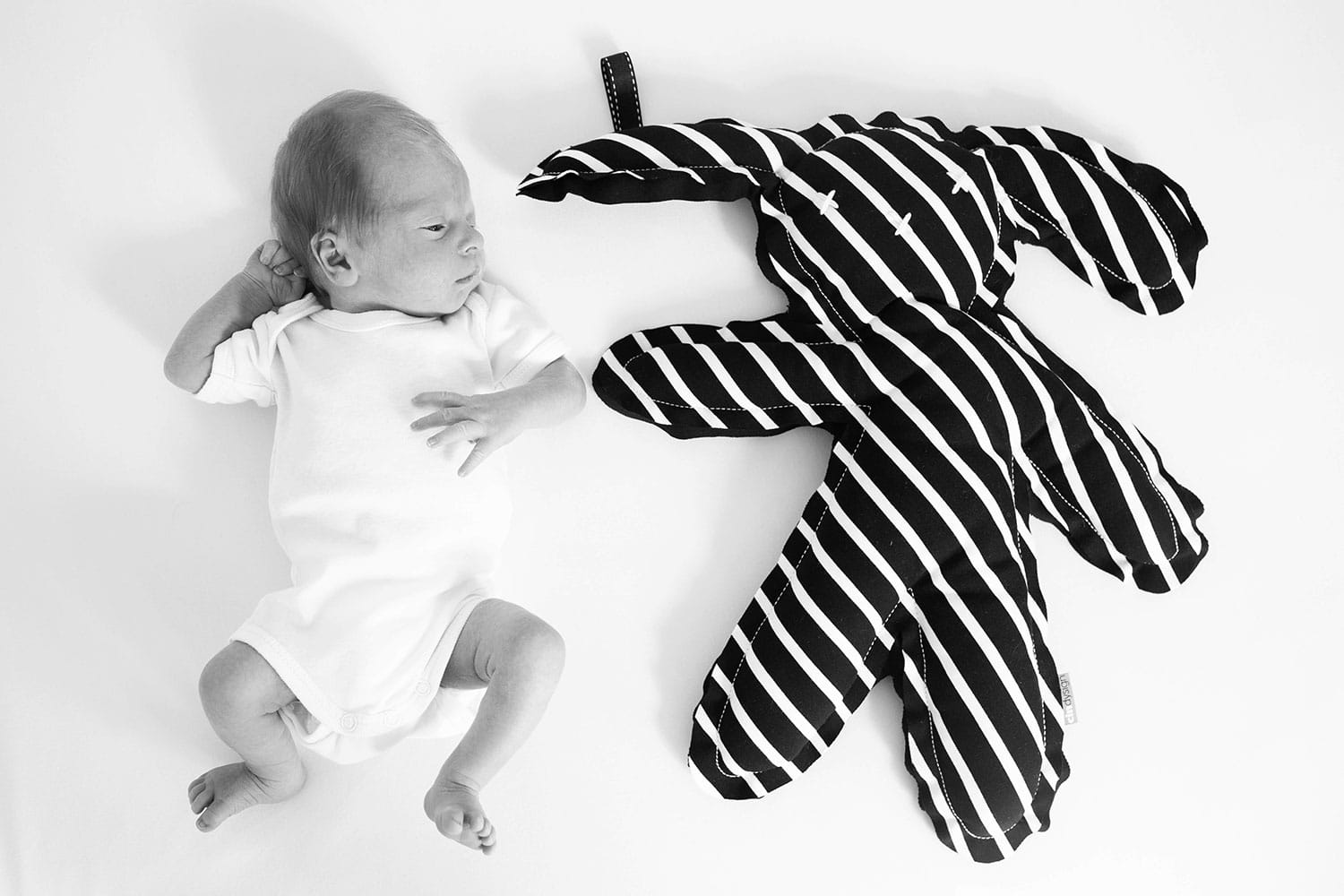 fotoshoot newborn met knuffel