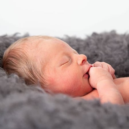 newbornshoot