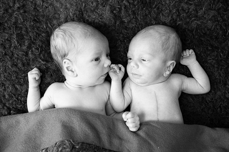 newborn fotograaf rosmalen