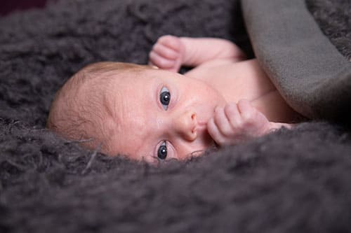 newbornfotoshoot tweeling rosmalen