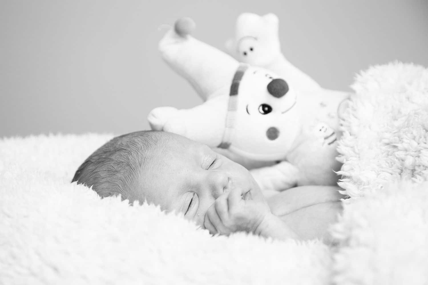 newbornshoot rosmalen