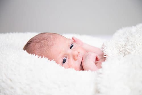 professionele newborn fotograaf