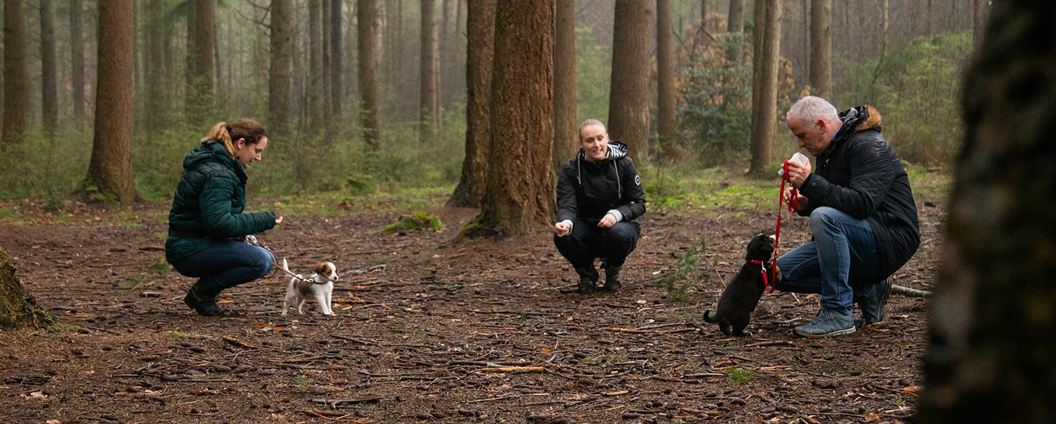 bedrijfsshoot met dieren