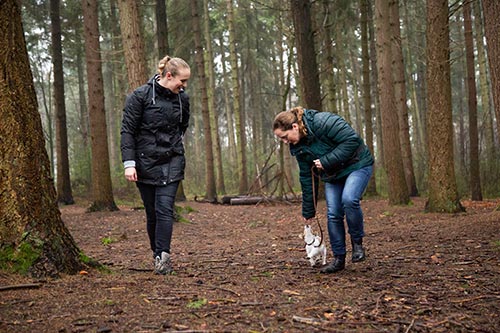 professionele dierenfotograaf brabant