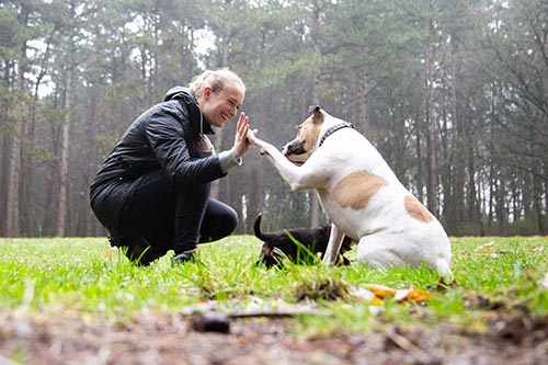 professionele dierenfotograaf