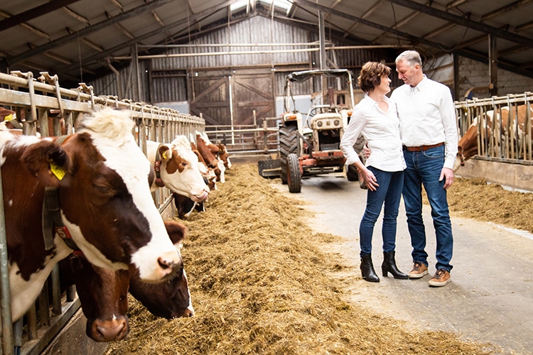 fotoshoot locatie boerderij