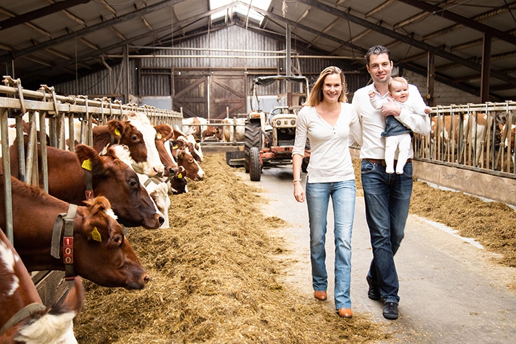 gezinsshoot locatie boerderij