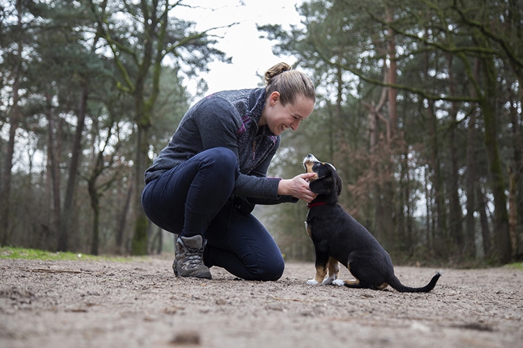 Dierenfotograaf Uden