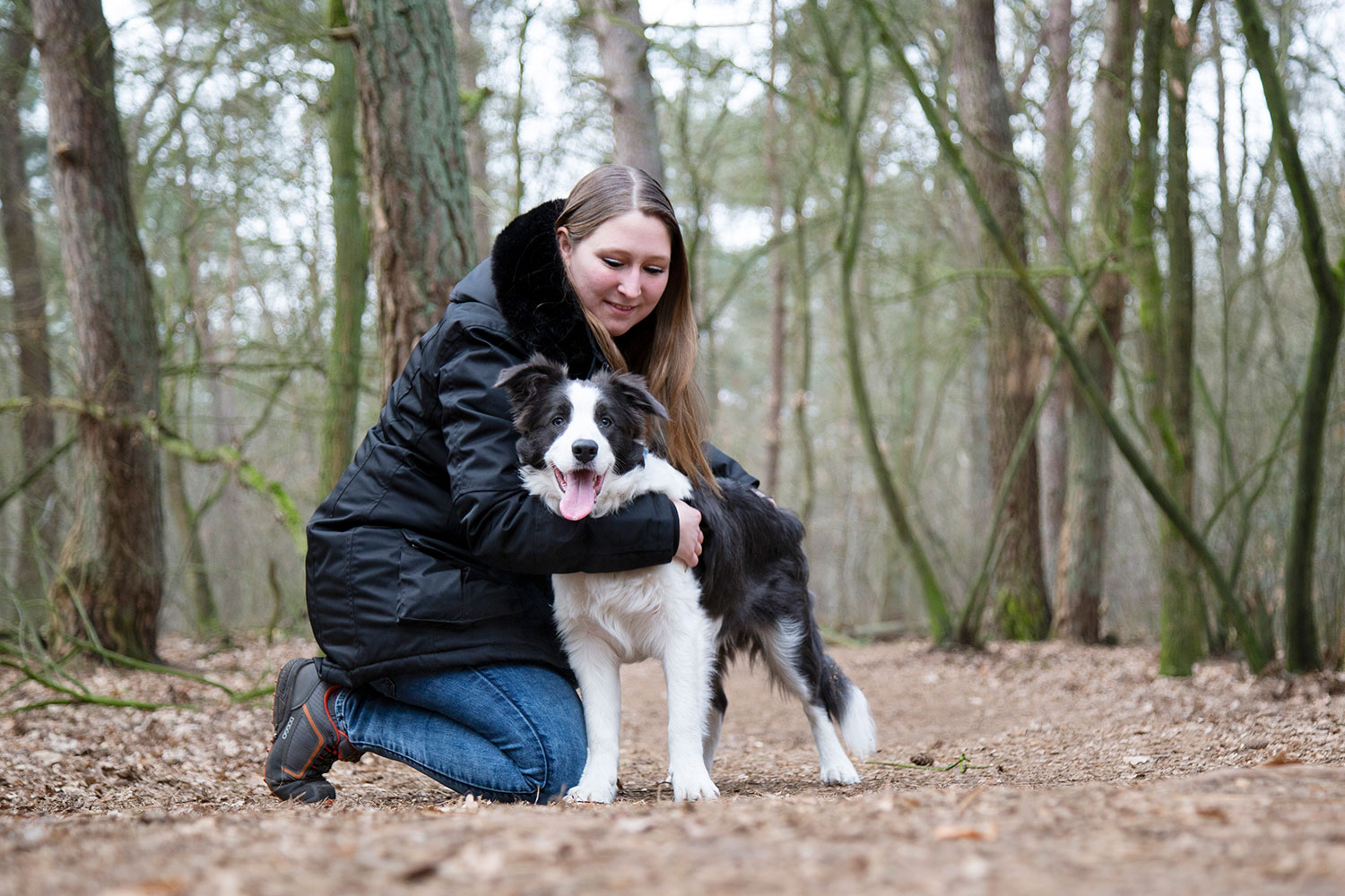 dierenshoot bos