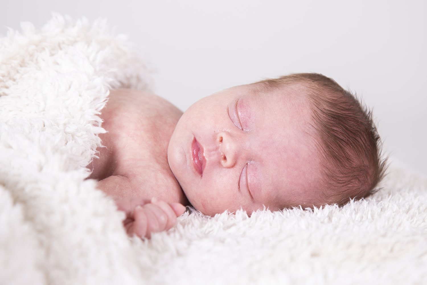 Newborn shoot zeeland