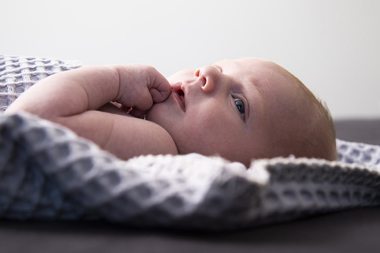 newborn fotograaf