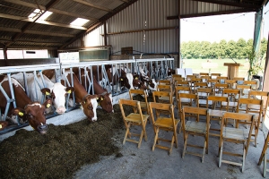 bruidslocatie op boerderij fotograaf