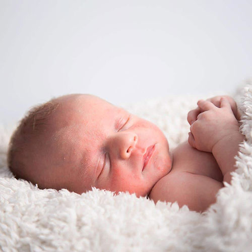 newborn fotograaf sharonwillems