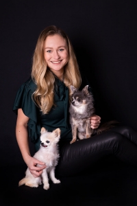 dierenfotoshoot chihuahua